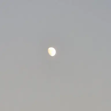 Profile image of 러끼