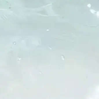 Profile image of 황현진