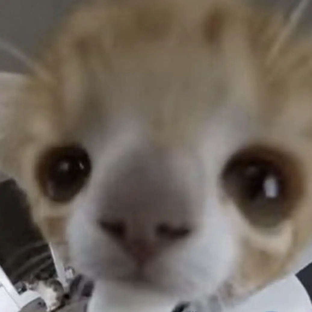 QuickStock6419의 드디어 유튜버 MT를 가는날!