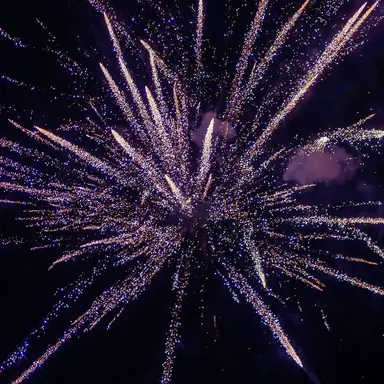 Profile image of 하야코