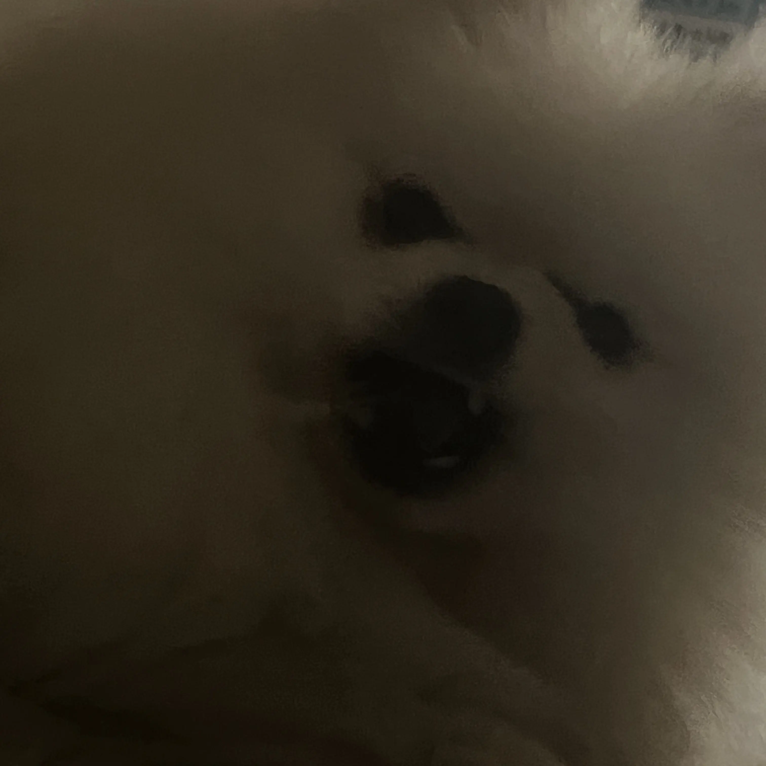 KAKUNG._.의 팔한 후, 문제점 알려주고 캐릭터ㄱㄱ