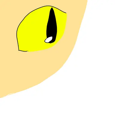Profile image of 코리아 숏헤어