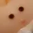 고고프렌즈 드림코어