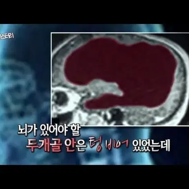 Profile image of 늑디