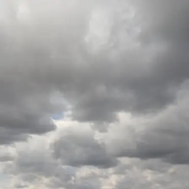 Profile image of 고탱