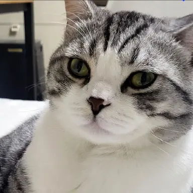 Profile image of 별