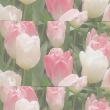 Profile image of Person