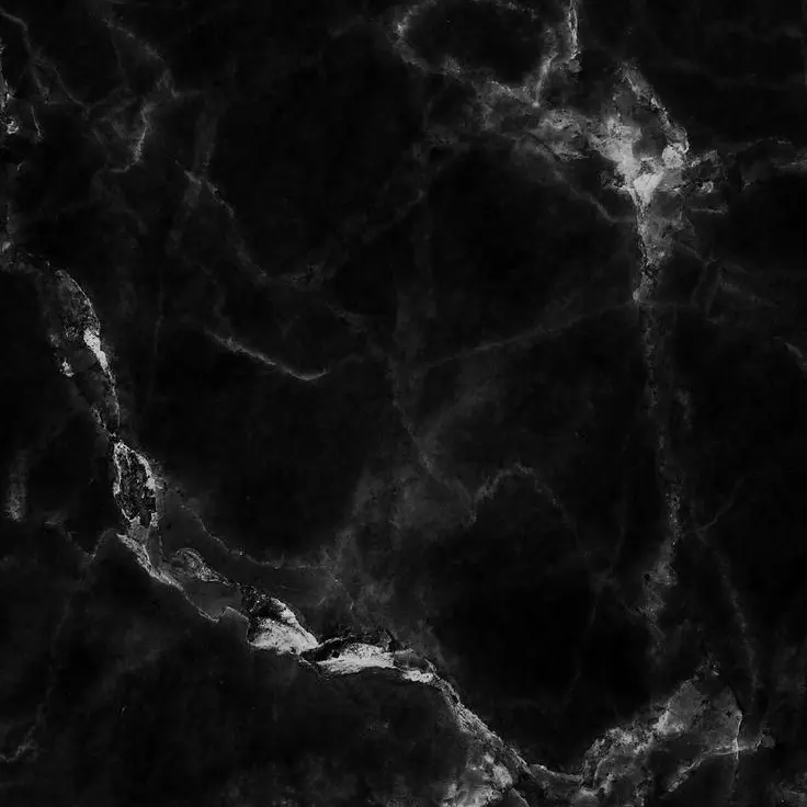 koto._.17의 桃源暗鬼