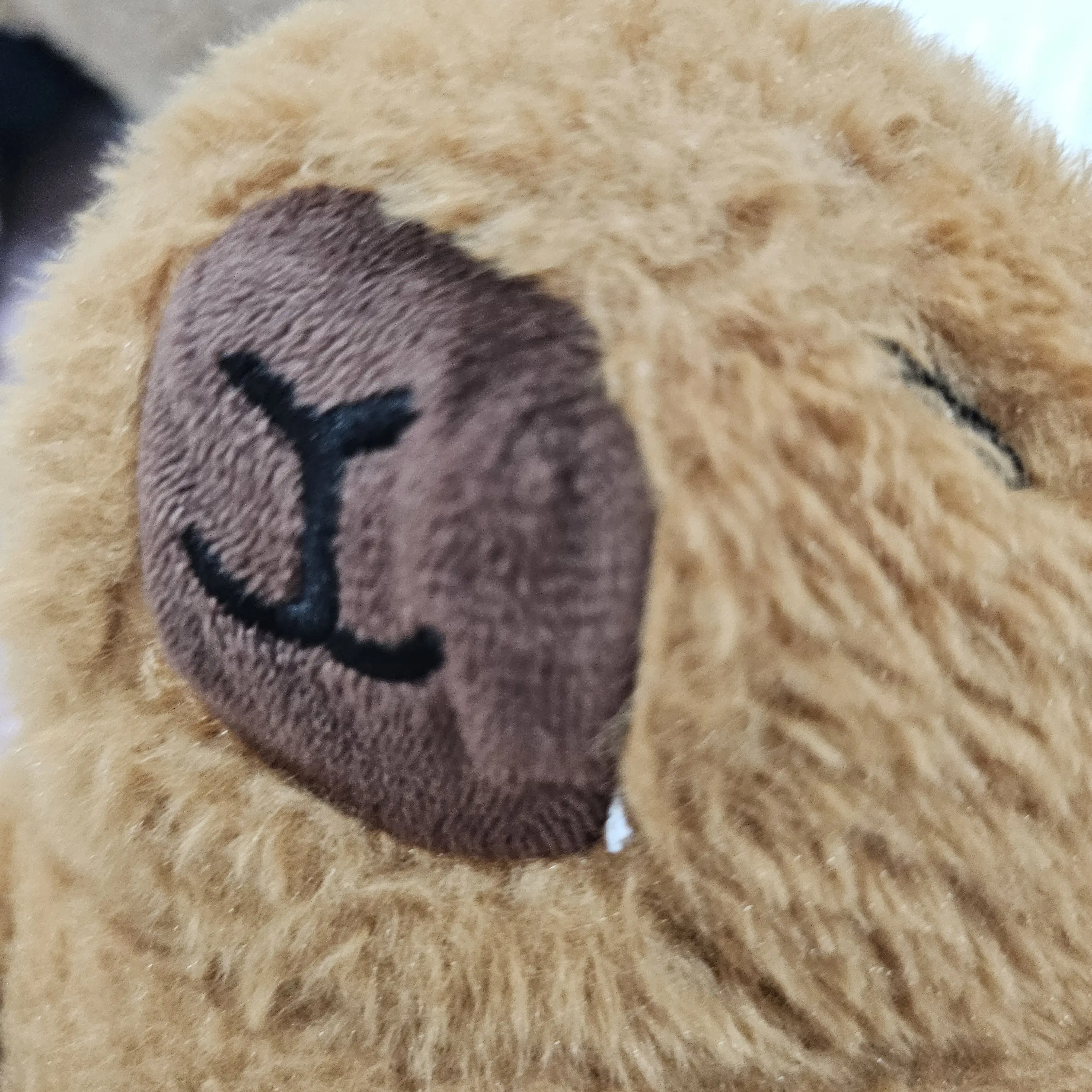 TartanPika7731의 카피바라