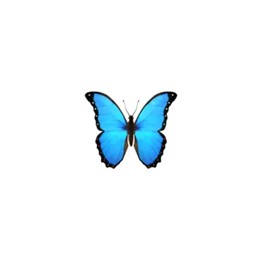 Profile image of エーミール