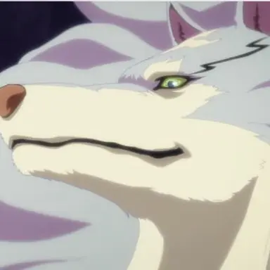 Profile image of Fel