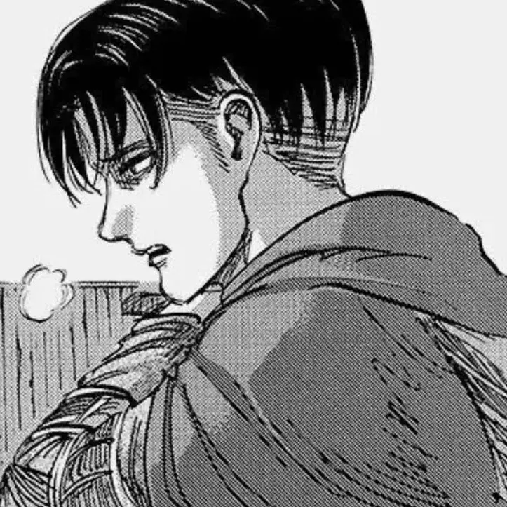 201225의 리바이 아커만