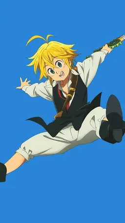 Profile image of メリオダス