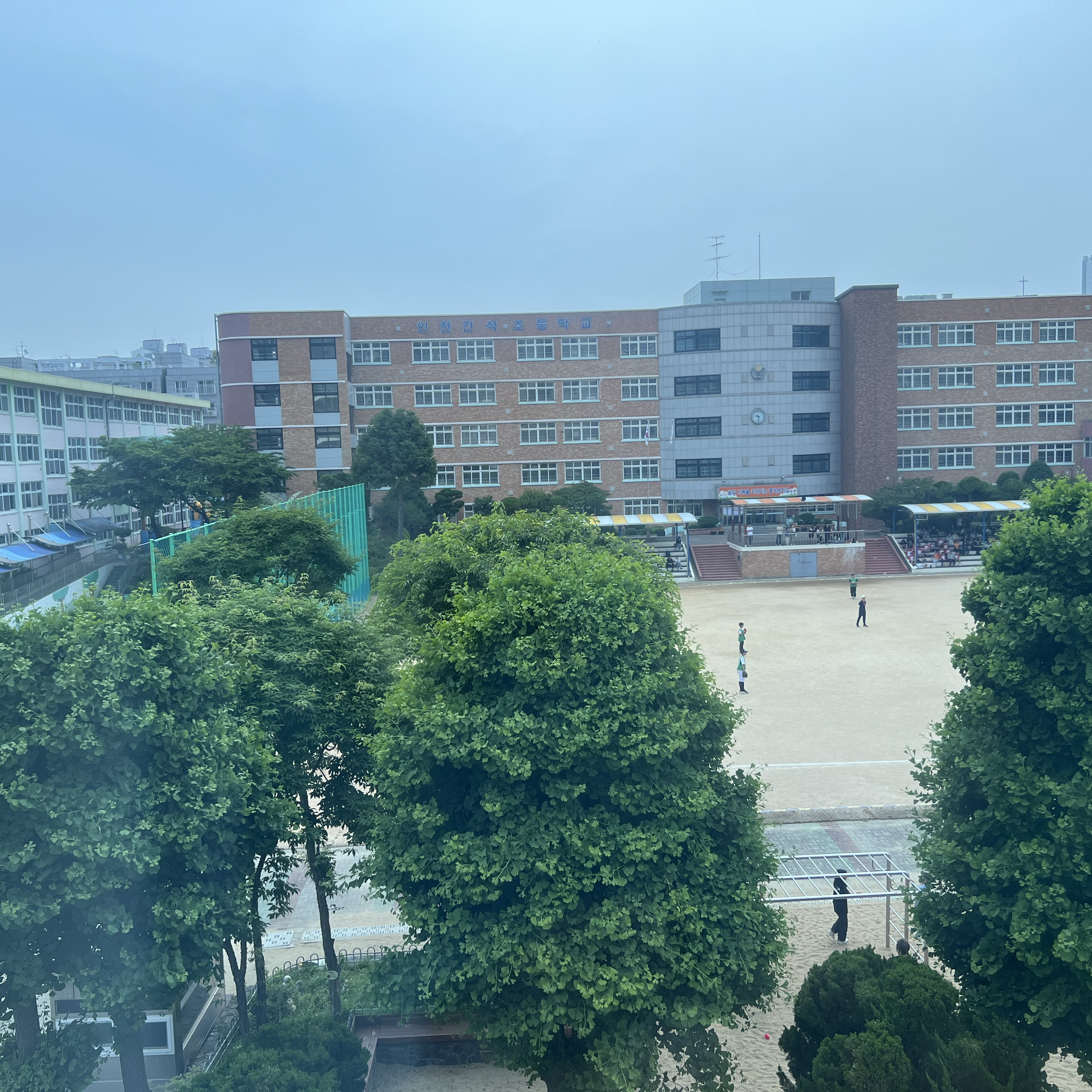 잠경위님이 살짝 빡쳤다! 대표 이미지