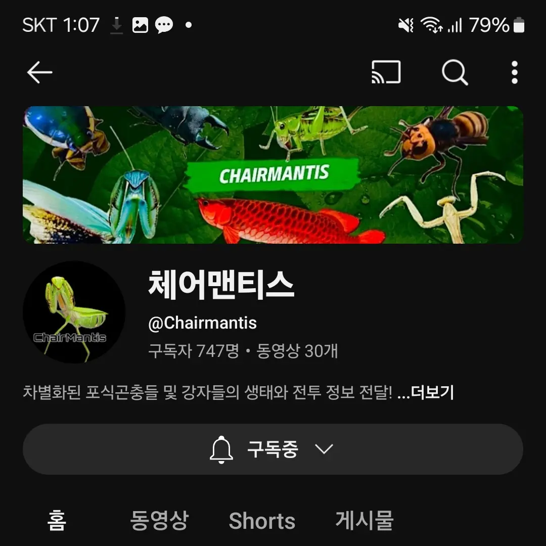 pmj0717의 체어맨티스