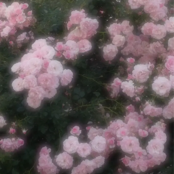 BLBIGLOVE_rayu의 叶わない恋＿ ？