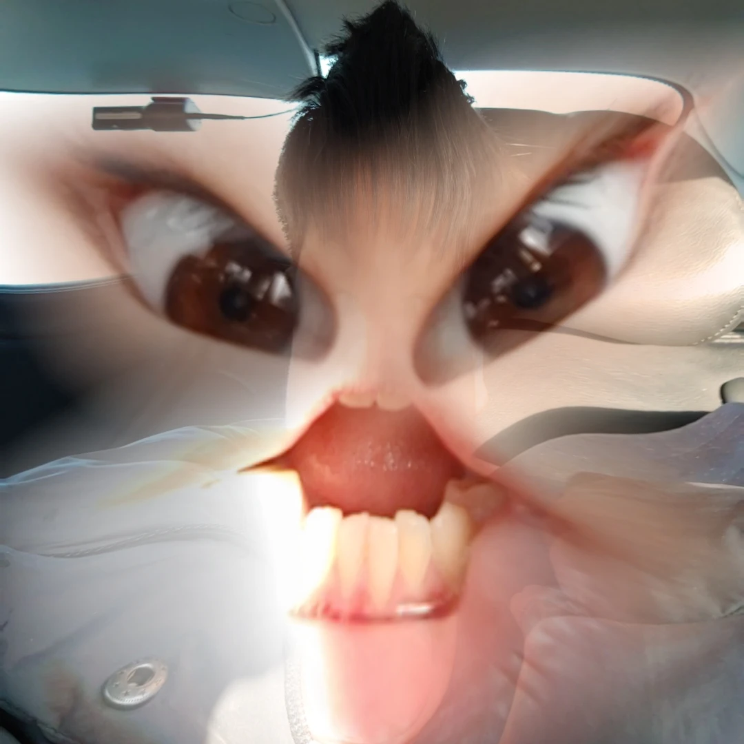 이싼영