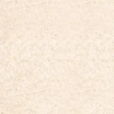 Profile image of ファン