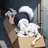 ミズキ