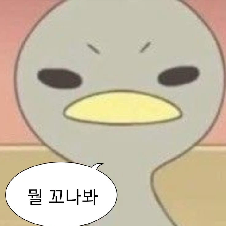 주시은