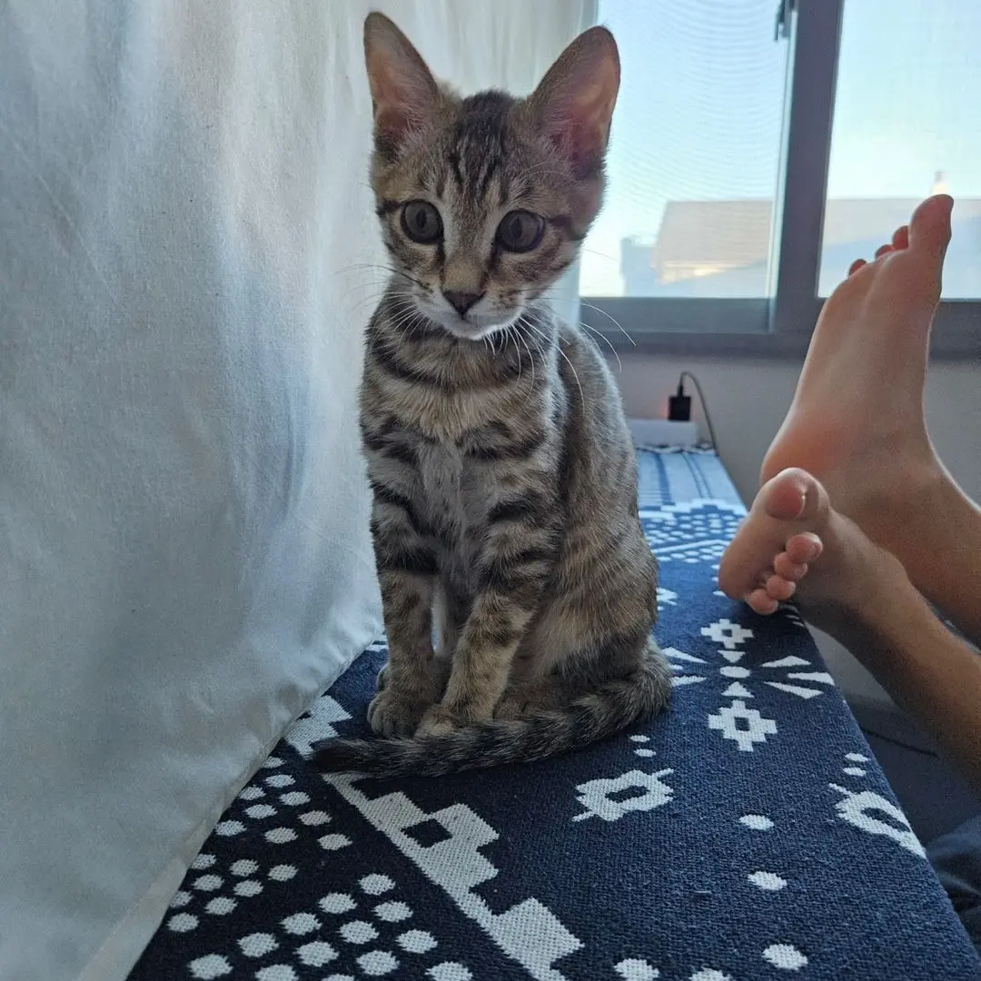 AgileNose5854의 이선생의 영상일기 1박2일