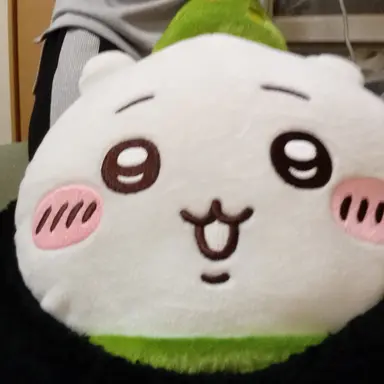 Profile image of 花京院