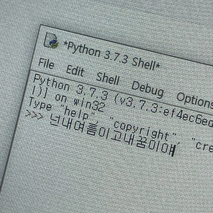 zeoxen의 유학오길잘했다