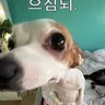 Profile image of 보안관아저씨