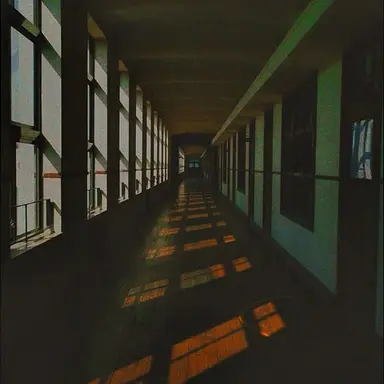 Profile image of 신더 하구르