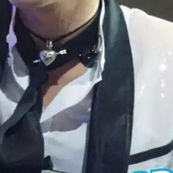 navilove의 권지용