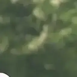 Profile image of 이지훈