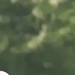 이지훈