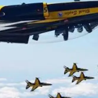 Profile image of T50B 5번기