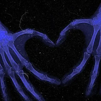 Profile image of 기은탁