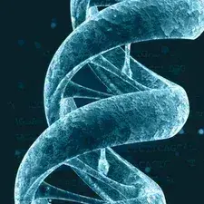 MeekGate4172의 Transformation