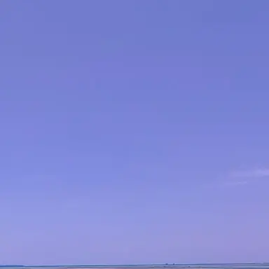 Profile image of 雨崎さん