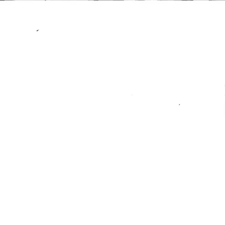 user310의 에라이+여우+늑대+여행