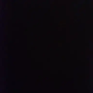 Profile image of Winston