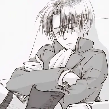 Profile image of Levi Ackerman