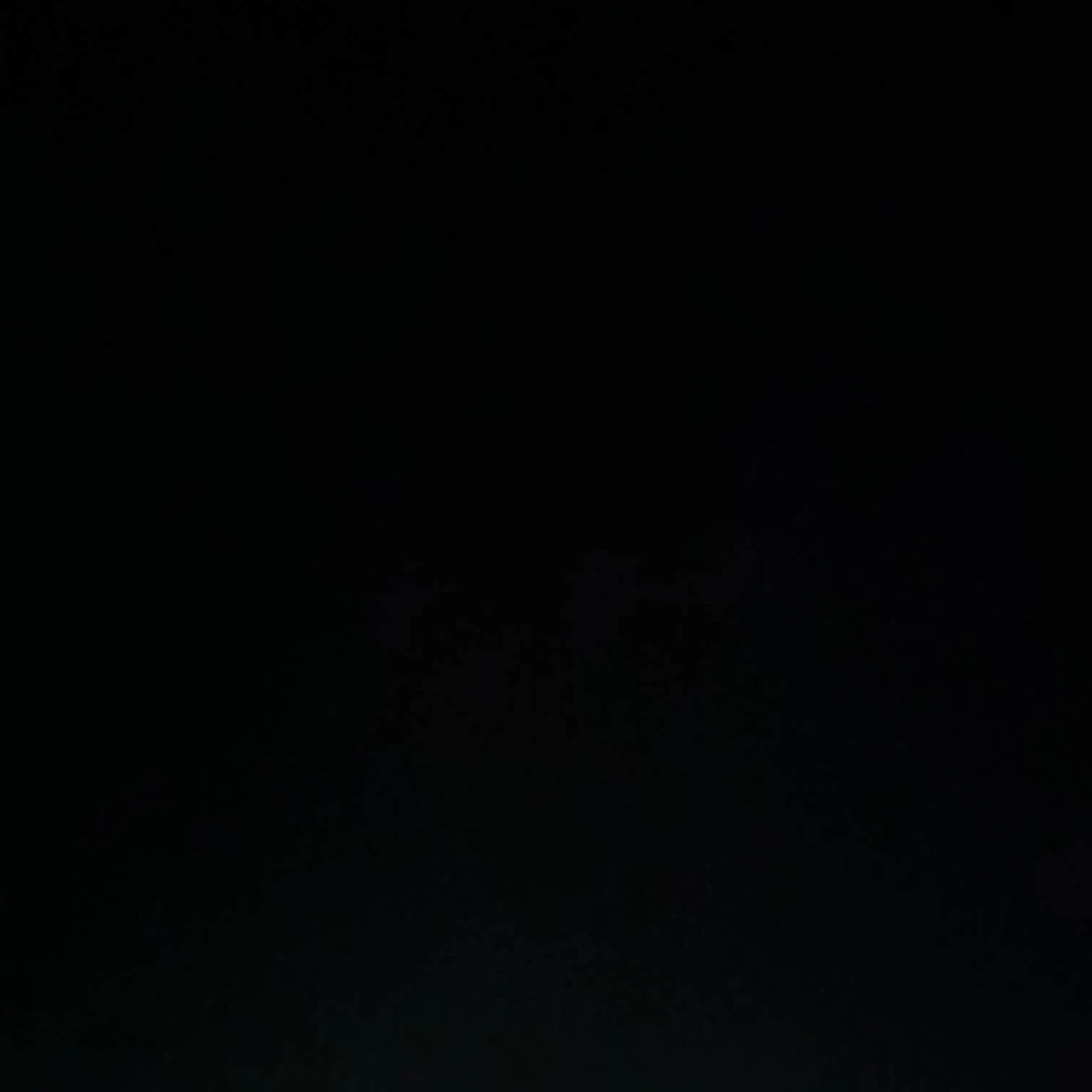 yx117의 선도부 형들