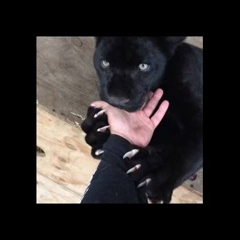 신현준