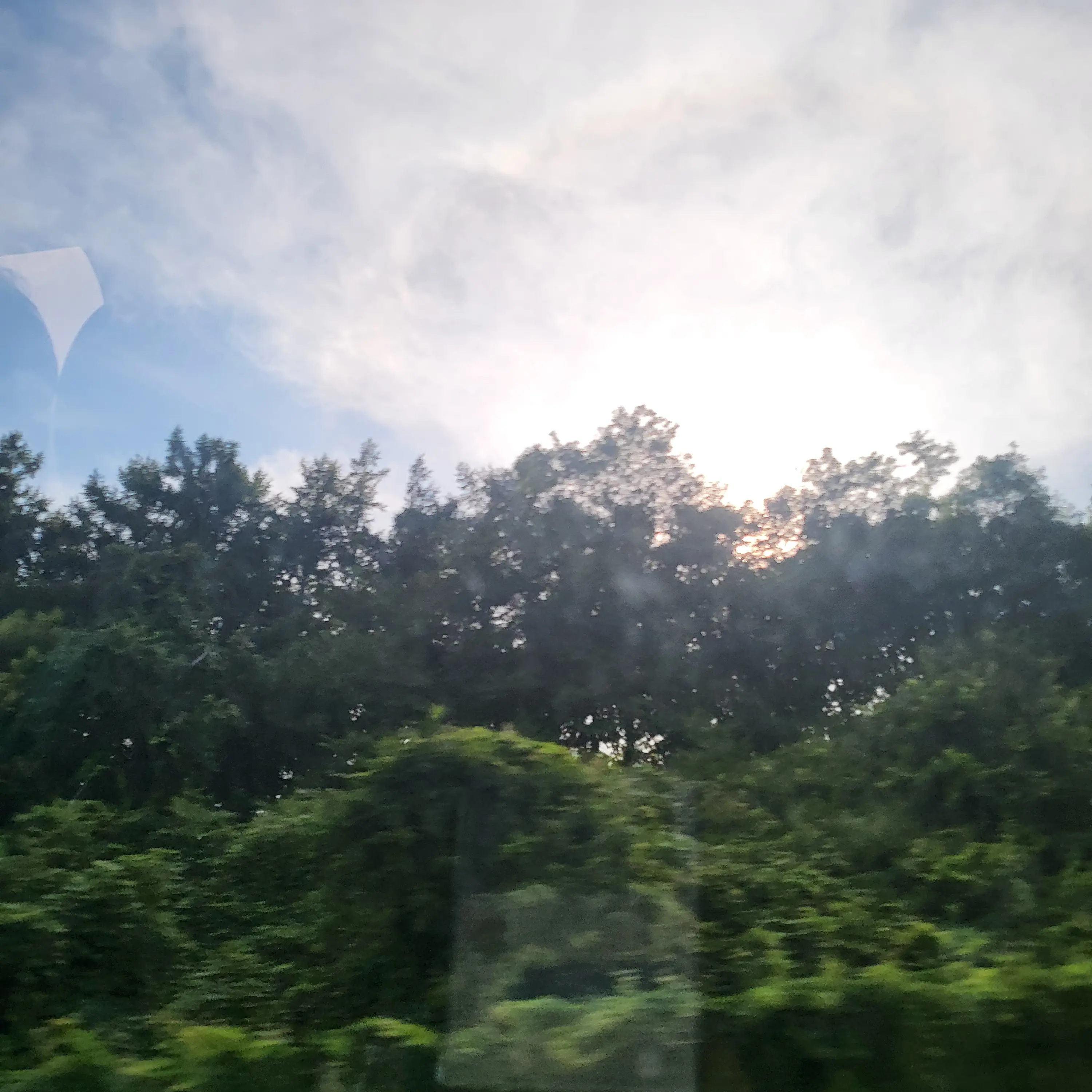 Sea2013729의 꿈뜰조직