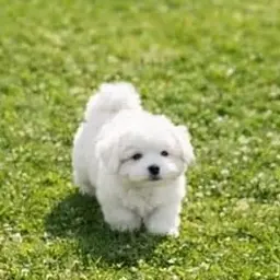 Profile image of 하루