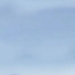 Profile image of 정소희