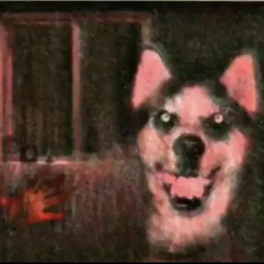 Profile image of Smile dog