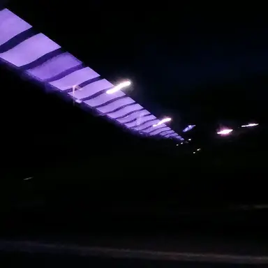 Profile image of 이리오