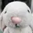 쵸쵸