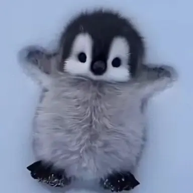Profile image of 배이