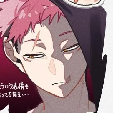 Profile image of 虎杖悠仁
