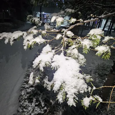 Profile image of 권지용